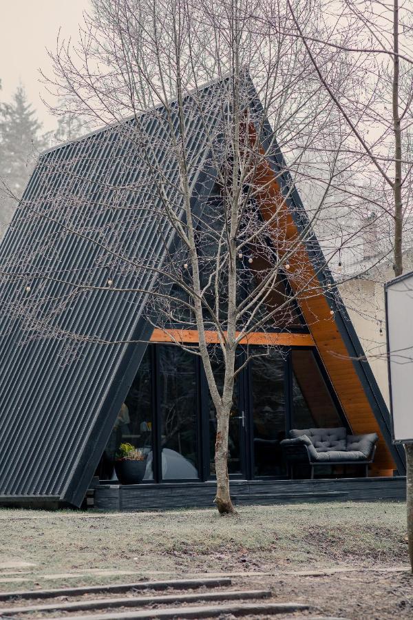 The Palo Cabins 普雷代亚尔 外观 照片